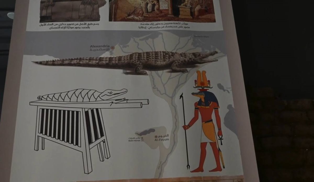 معبد كوم أمبو بأسوان