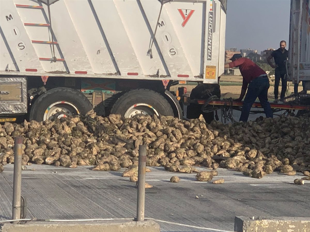 انقلاب مقطورة بنجر على الطريق الإقليمي يعطل حركة المرور في الاتجاهين