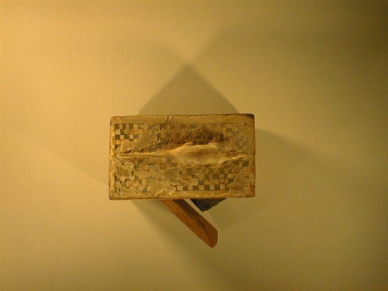 تابوت به مومياء نمس من العصر المتأخر