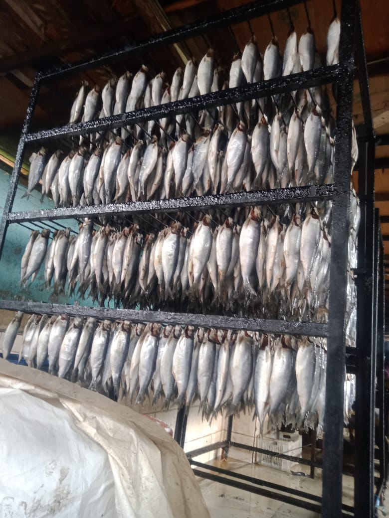 ضبط 15 طن أسماك ورنجة غير صالحة للاستهلاك بالمنوفية قبل شم النسيم