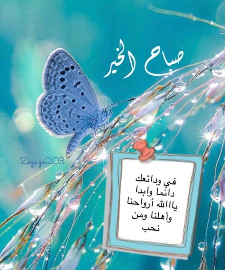 تنزيل صور جمعة مباركة