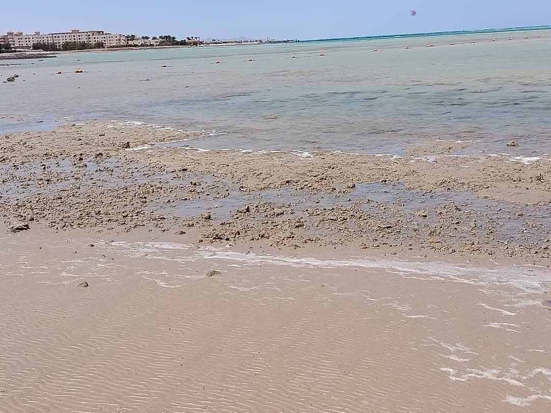 تراجع وانحسار لمياه البحر بالغردقة 