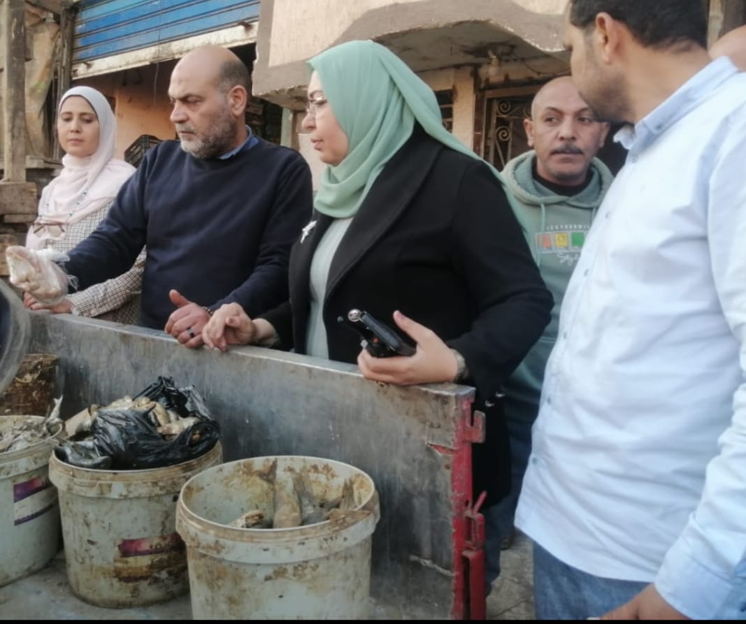 ضبط سردين مملح غير صالح للاستهلاك بالمنوفية