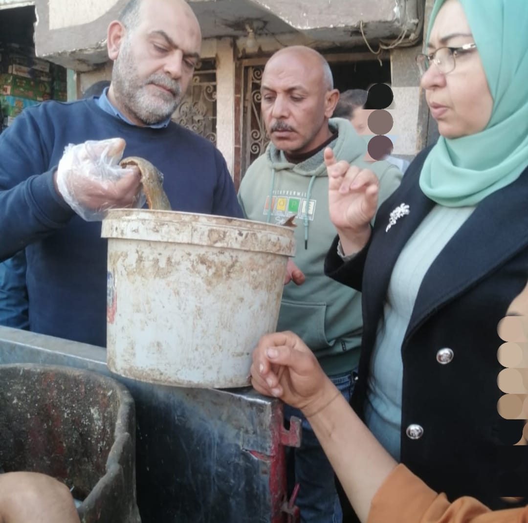 ضبط سردين مملح غير صالح للاستهلاك بالمنوفية