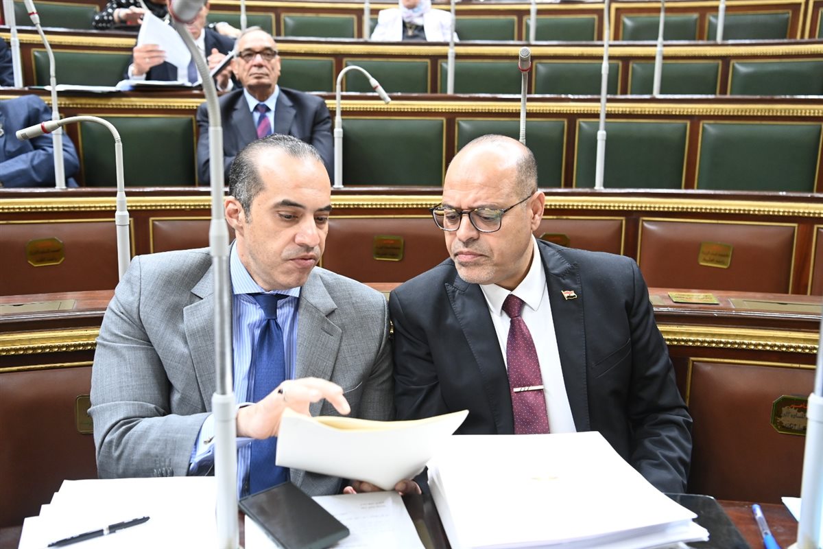 وزير العمل والمستشار محمود فوزي