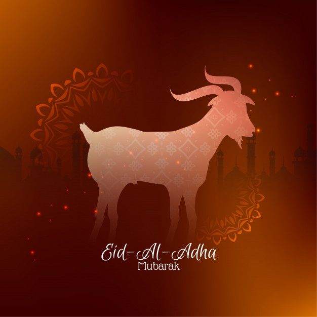 بطاقات تهنئة عيد الأضحى 2025