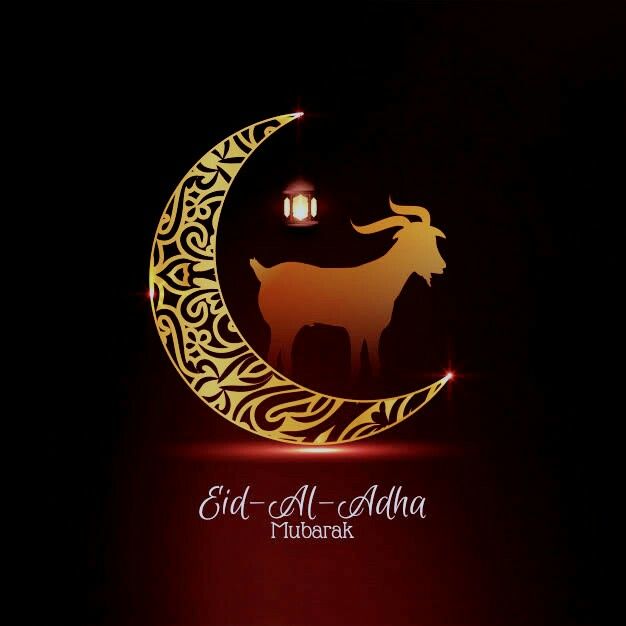 بطاقات تهنئة عيد الأضحى 2025