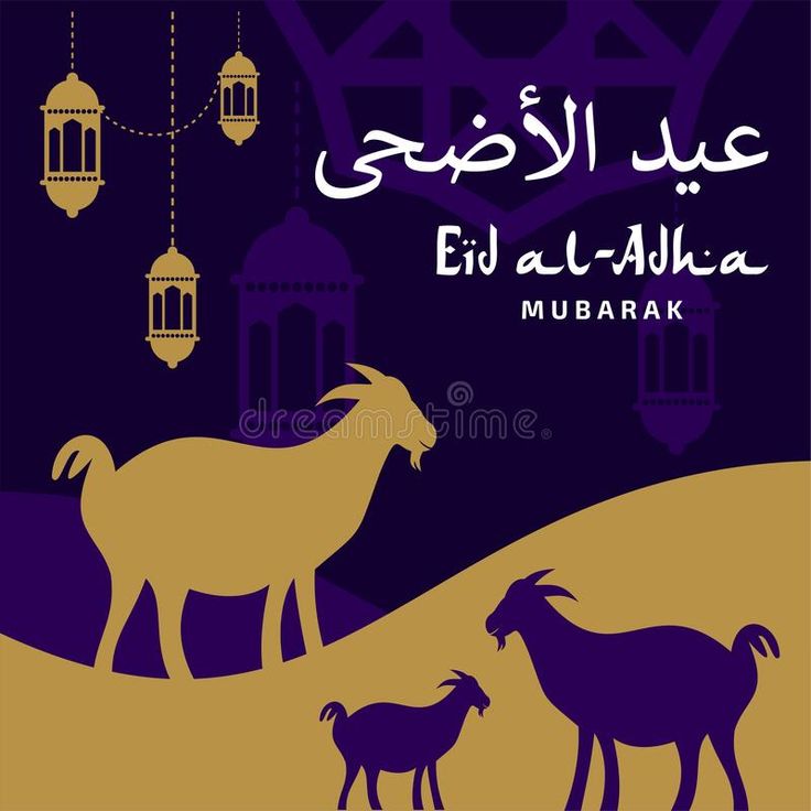 بطاقات تهنئة عيد الأضحى 2025