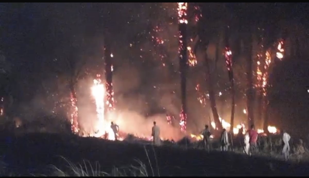 حريق هائل بكرم نخيل بإسنا جنوب الأقصر