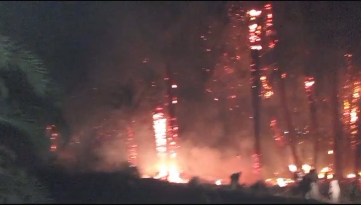 حريق هائل بكرم نخيل بإسنا جنوب الأقصر