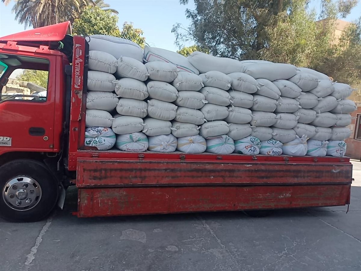 توريد القمح بالأقصر