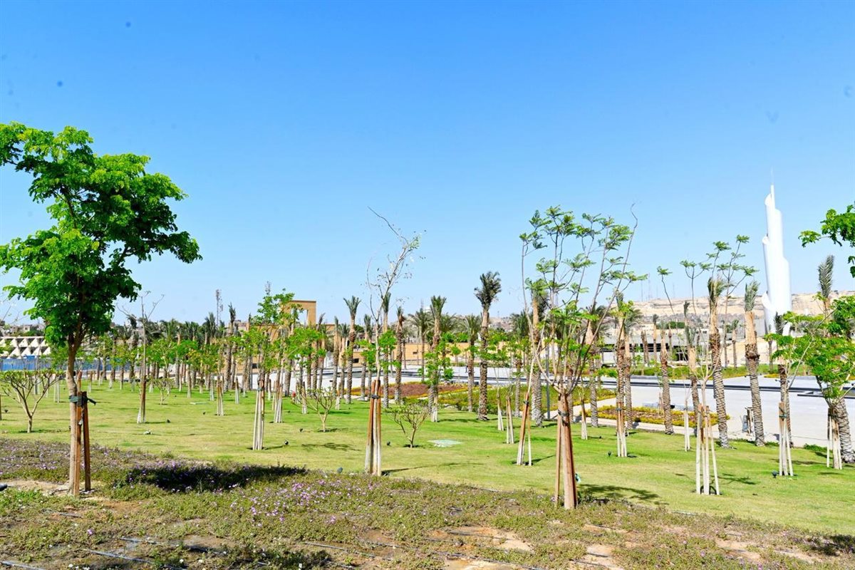 حديقة تلال الفسطاط