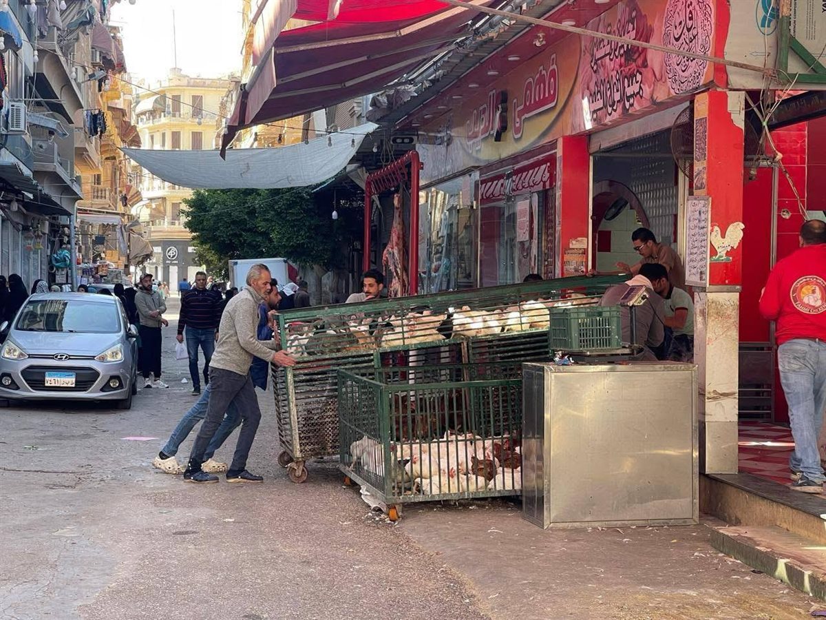 جهود الأجهزة التنفيذية بـ محافظة بورسعيد 