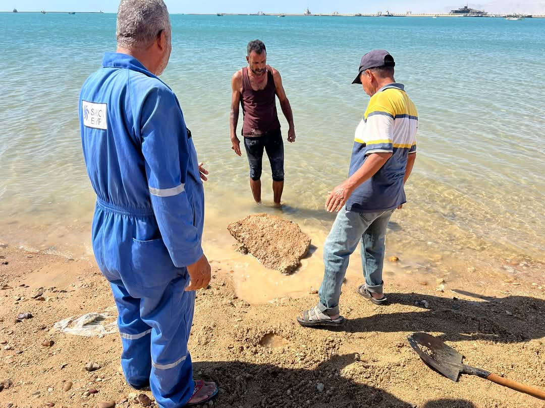 رفع المخلفات من الشواطئ