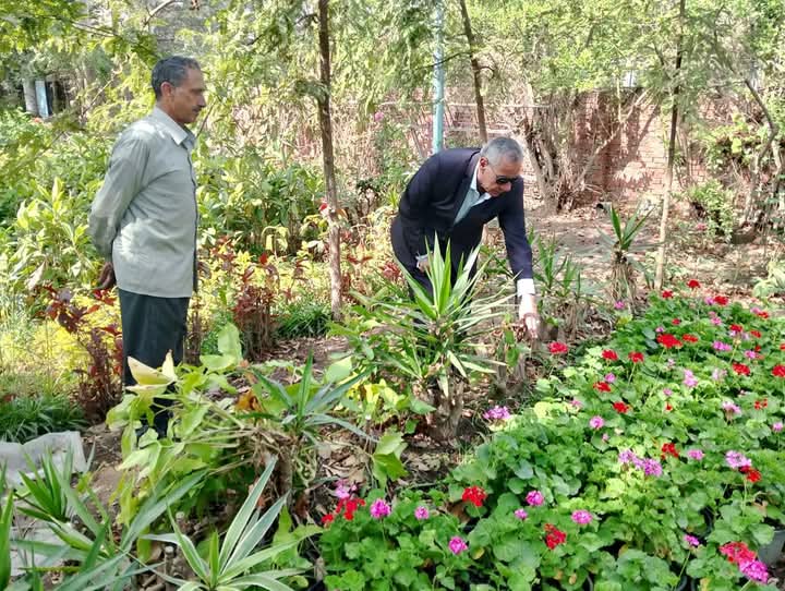رئيس حي غرب المنصورة يتفقد الحدائق