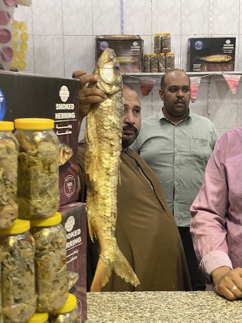 الملوحة والرنجة اكلة أهالي الأقصر المفضلة في شم النسيم