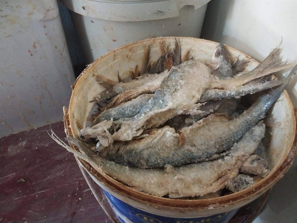 مراقبة الأسواق