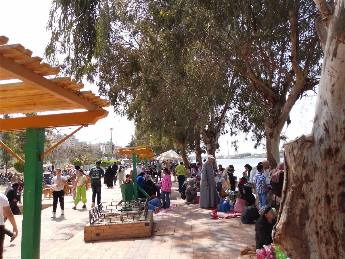 جانب من الاحتفالات