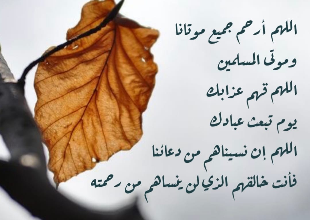 دعاء يوم التروية للمتوفي