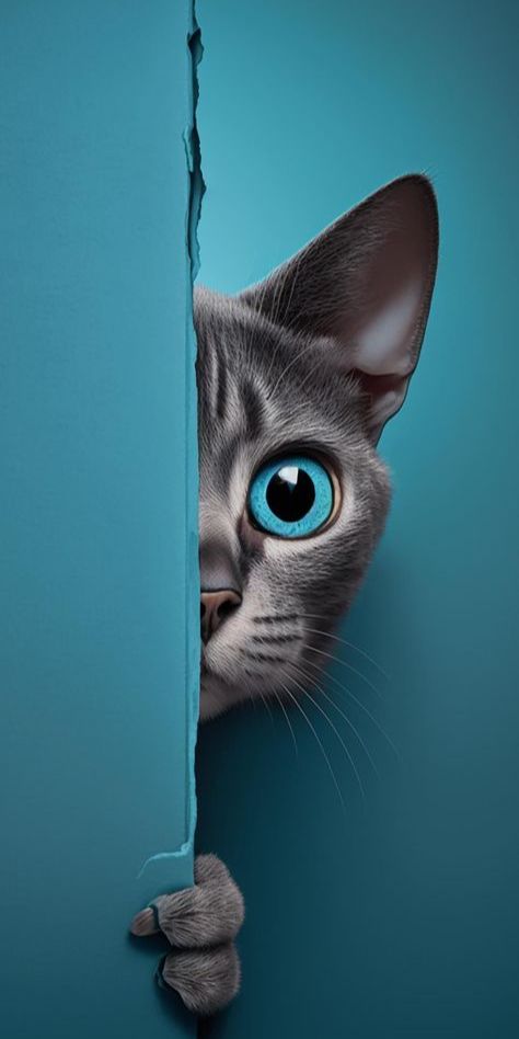 خلفيات جميلة