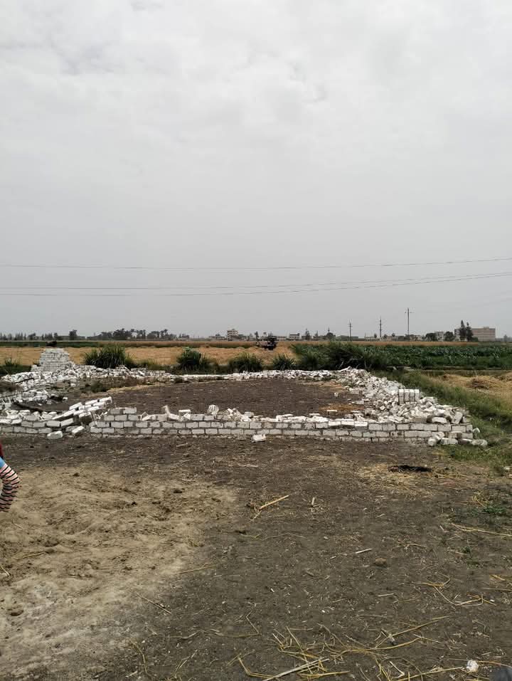 إزالة 52 حالة تعد على مساحة 2954 متر بالبحيرة