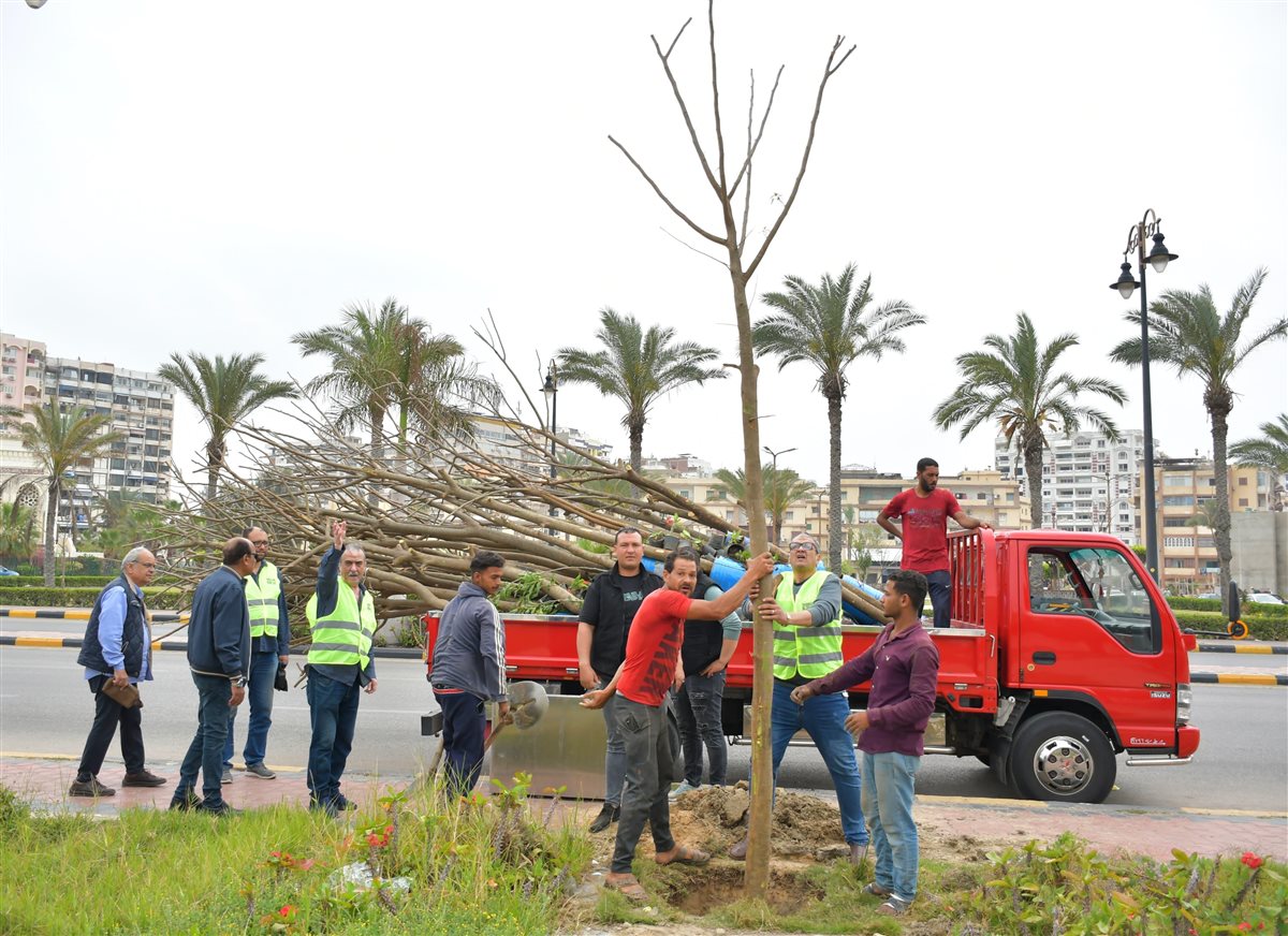 جهود الأجهزة التنفيذية ببورسعيد 