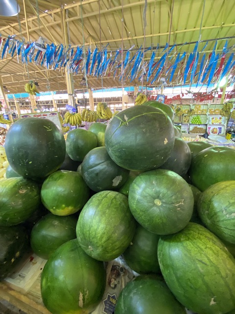 البطيخ فاكهة الصيف المفضلة لأهالي الأقصر