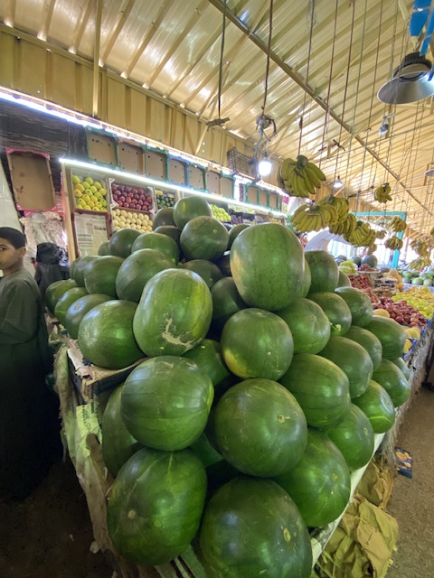 البطيخ فاكهة الصيف المفضلة لأهالي الأقصر