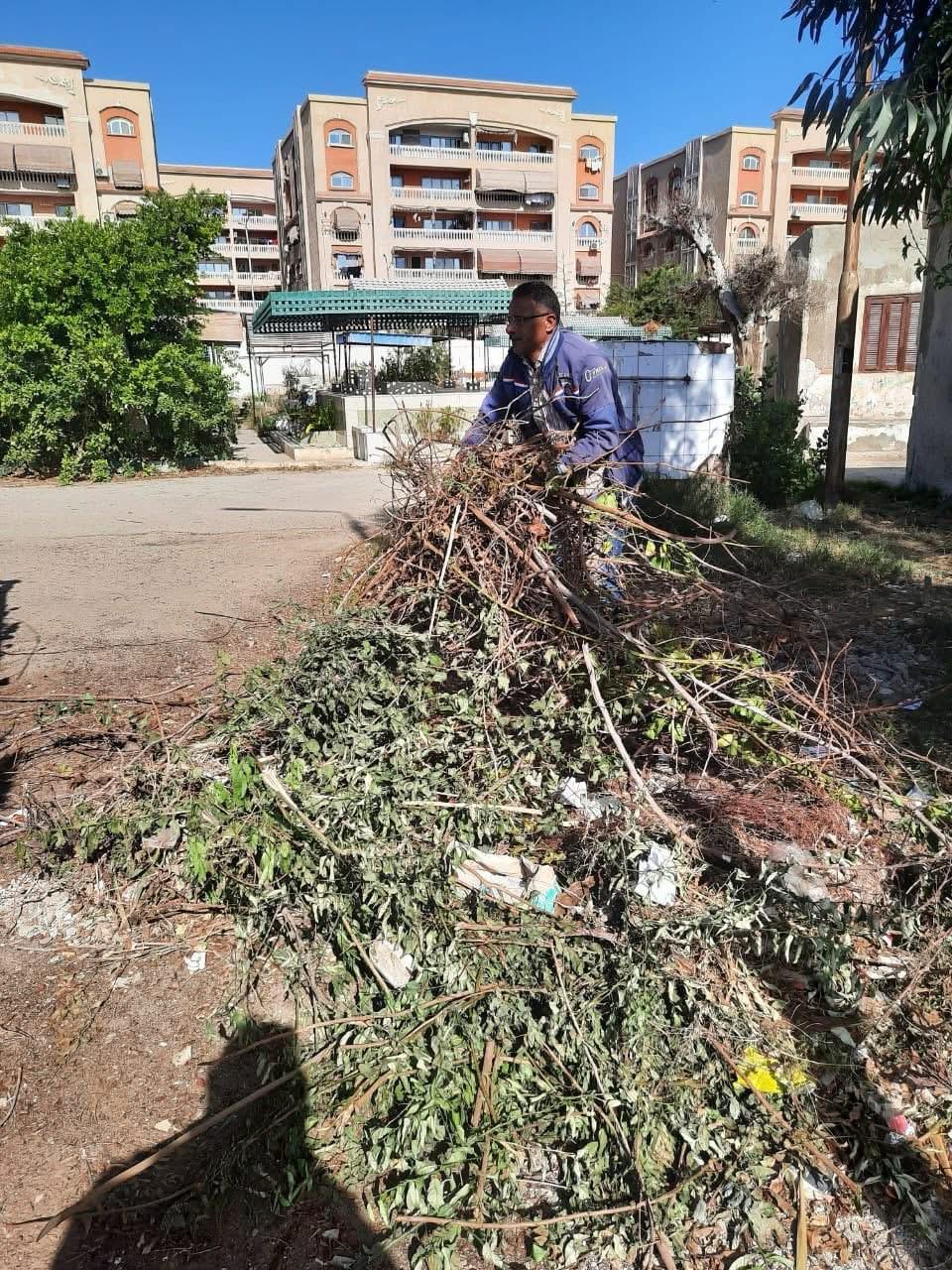 جهود تنفيذية ببورسعيد 