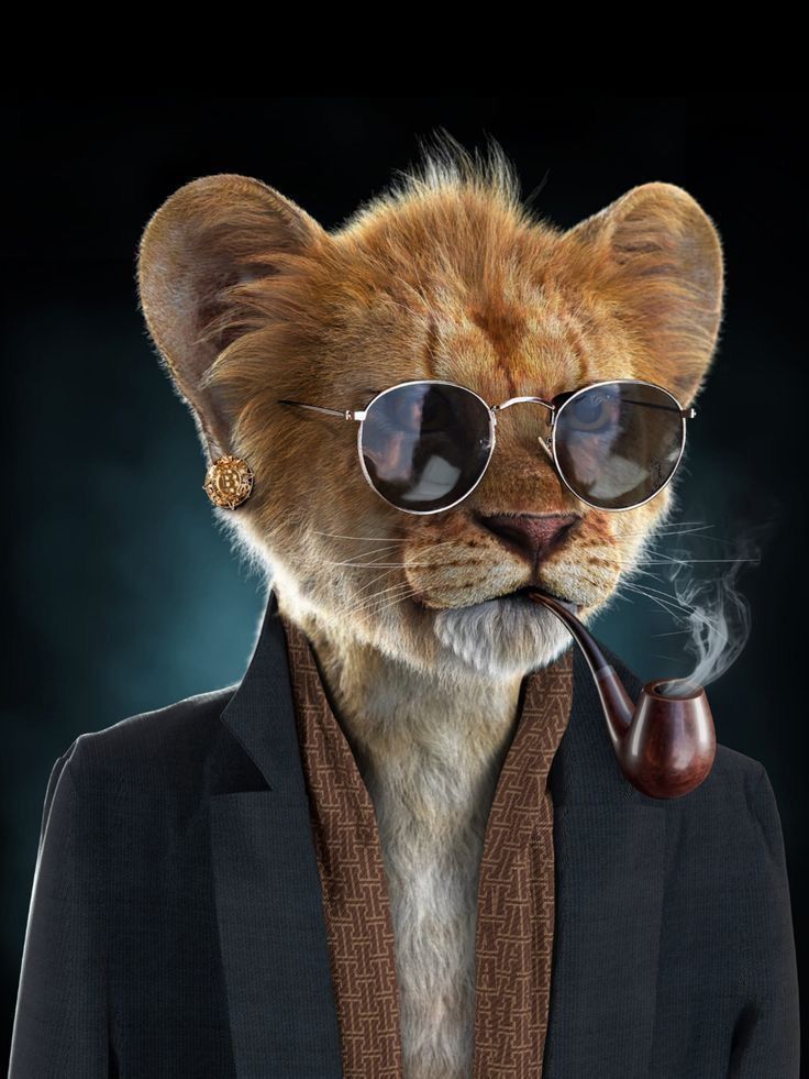 أجمل خلفيات في العالم