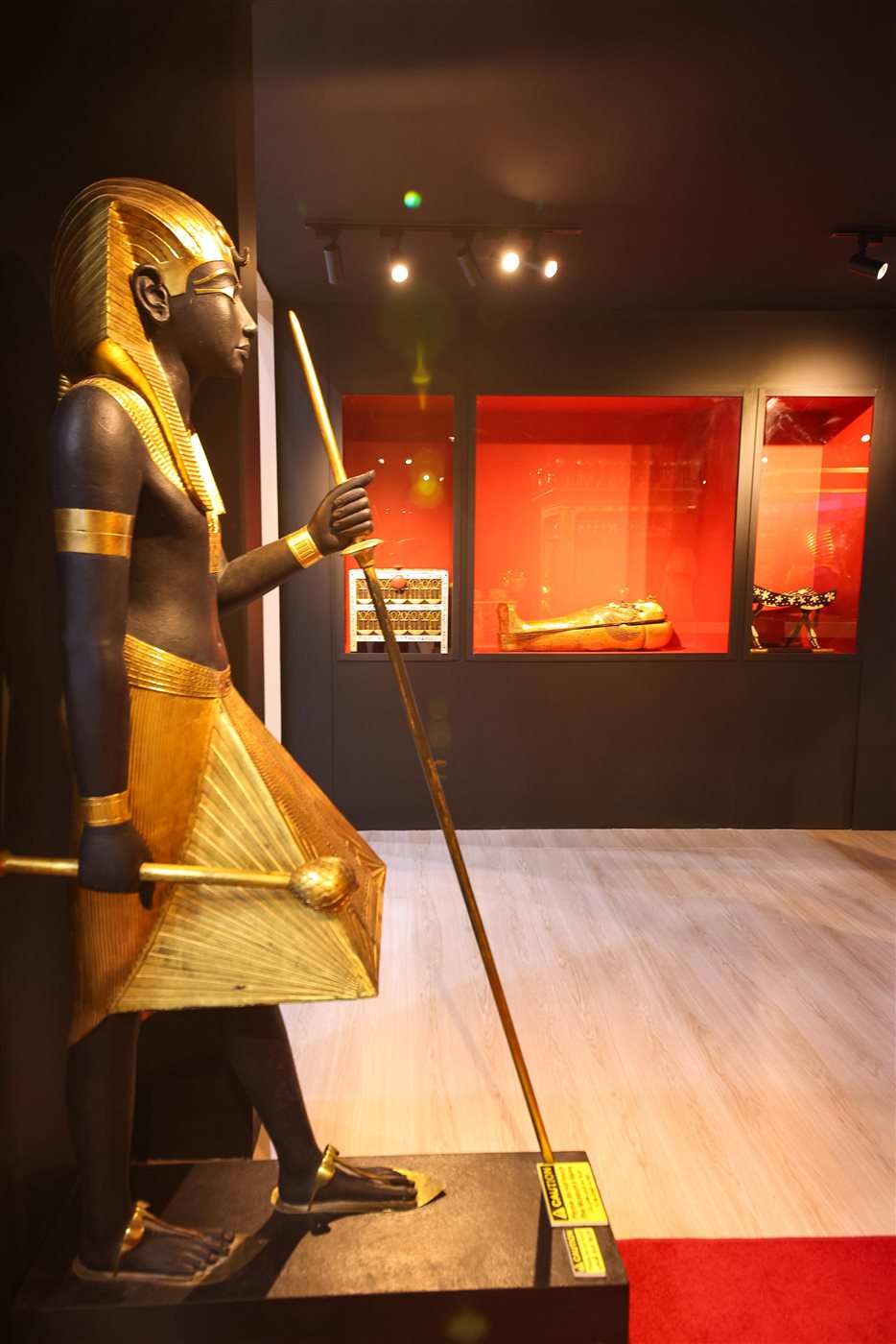 الجناح المصري