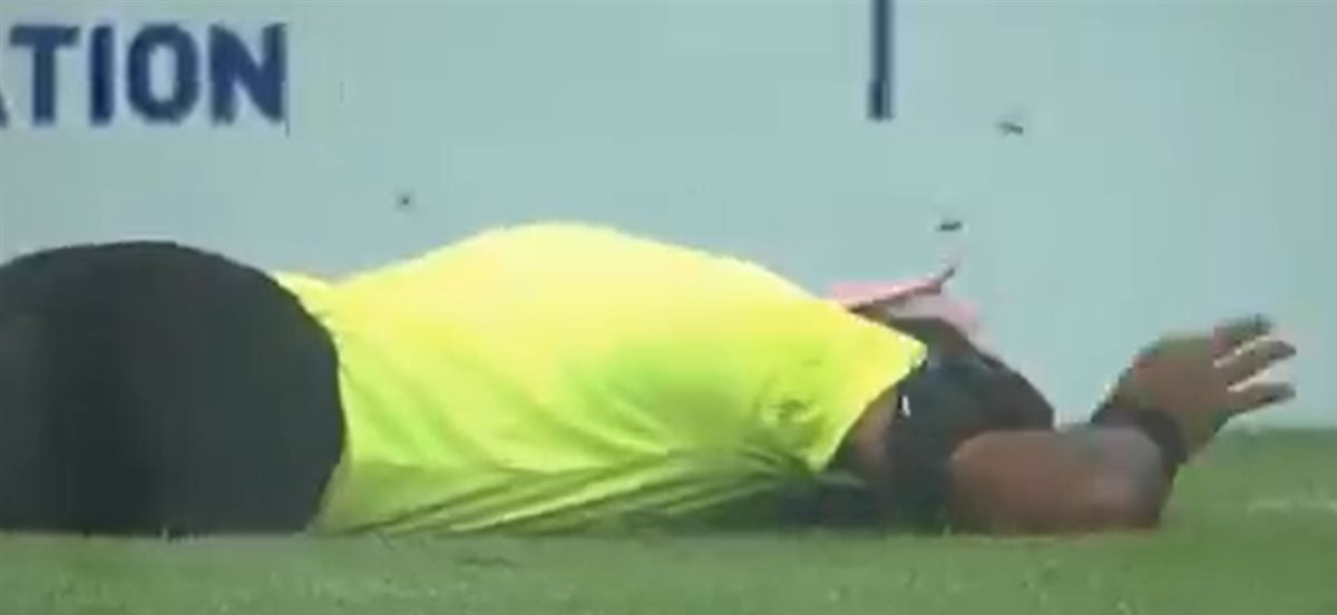 توقف مباراة في الدوري الهندي بسبب هجوم أسراب من النحل على كل المتواجدين في الملعب