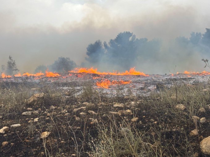 حرائق إسرائيل