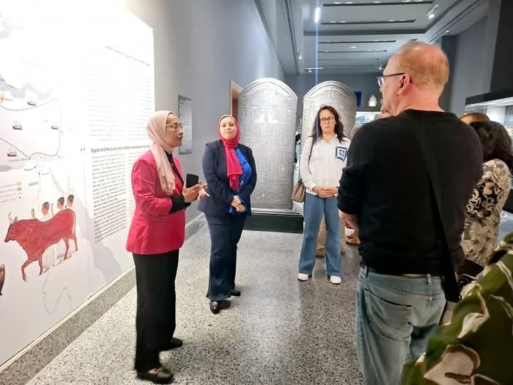 المتحف اليوناني الروماني يستقبل وفدًا دوليًا من Green Museum Hub