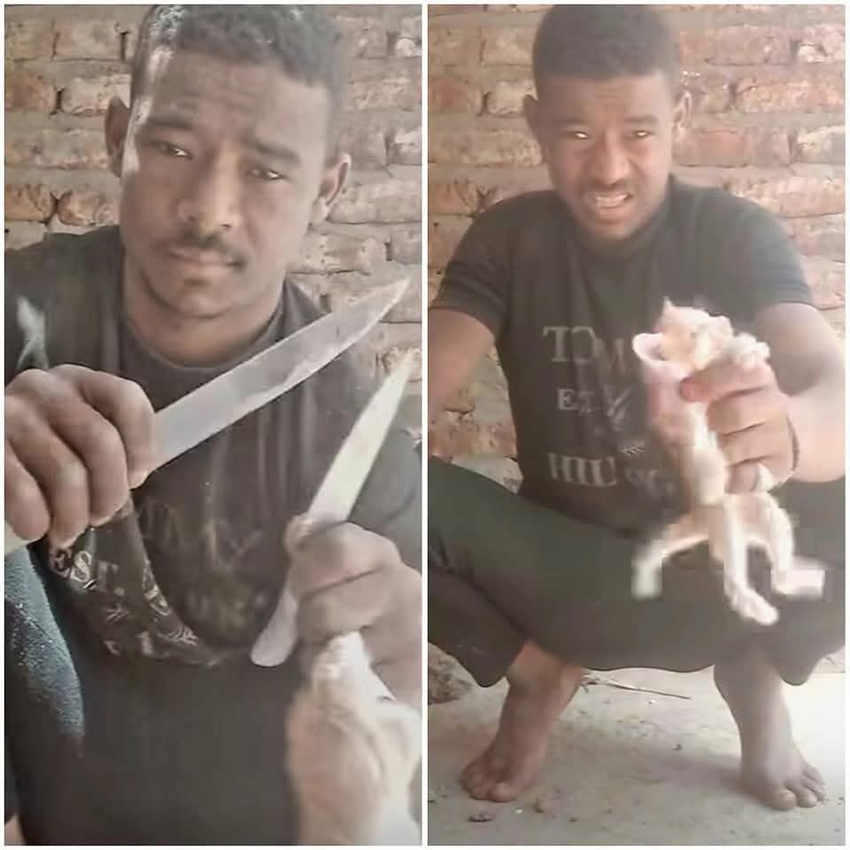 مشهد الفيديو الصادم