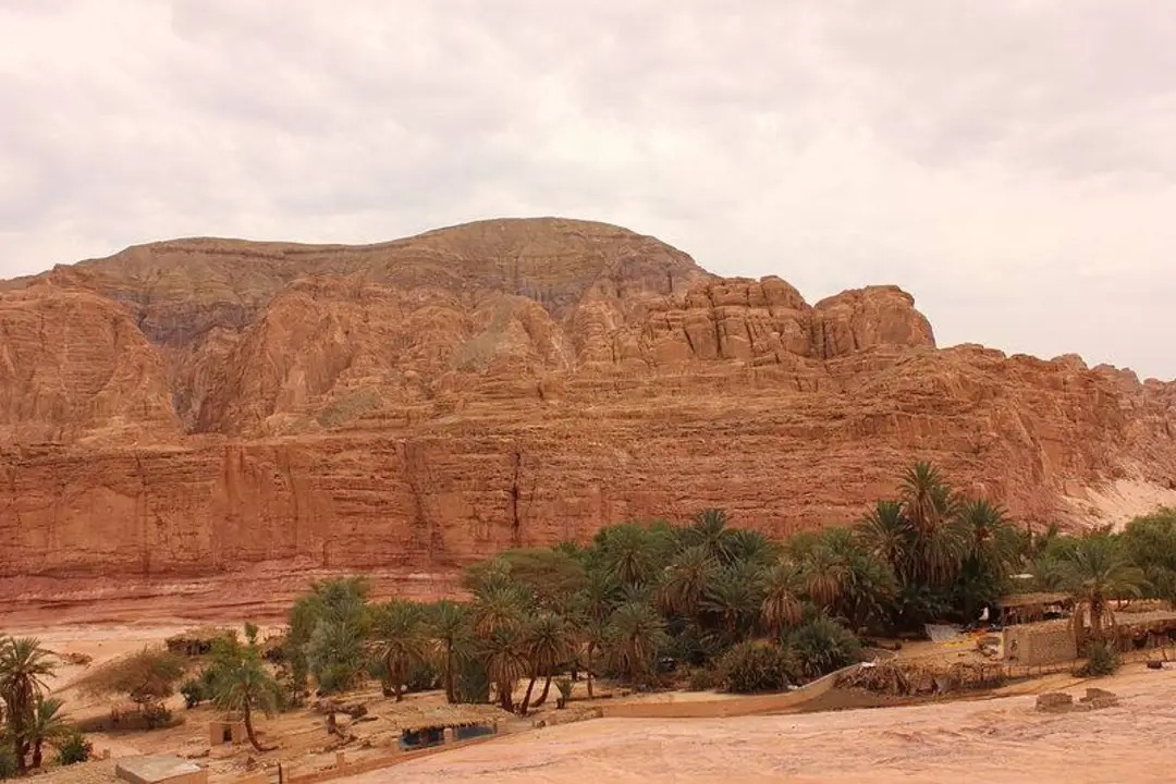 واحة عين خضراء بجنوب سيناء