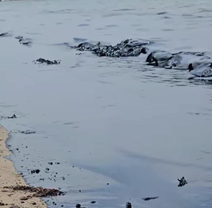 صورة من بقع الزيت 