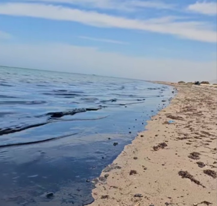 صورة من بقع الزيت 