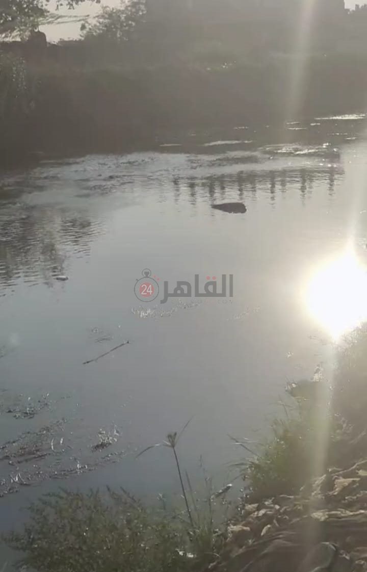 بحر عزبة الأهالي 