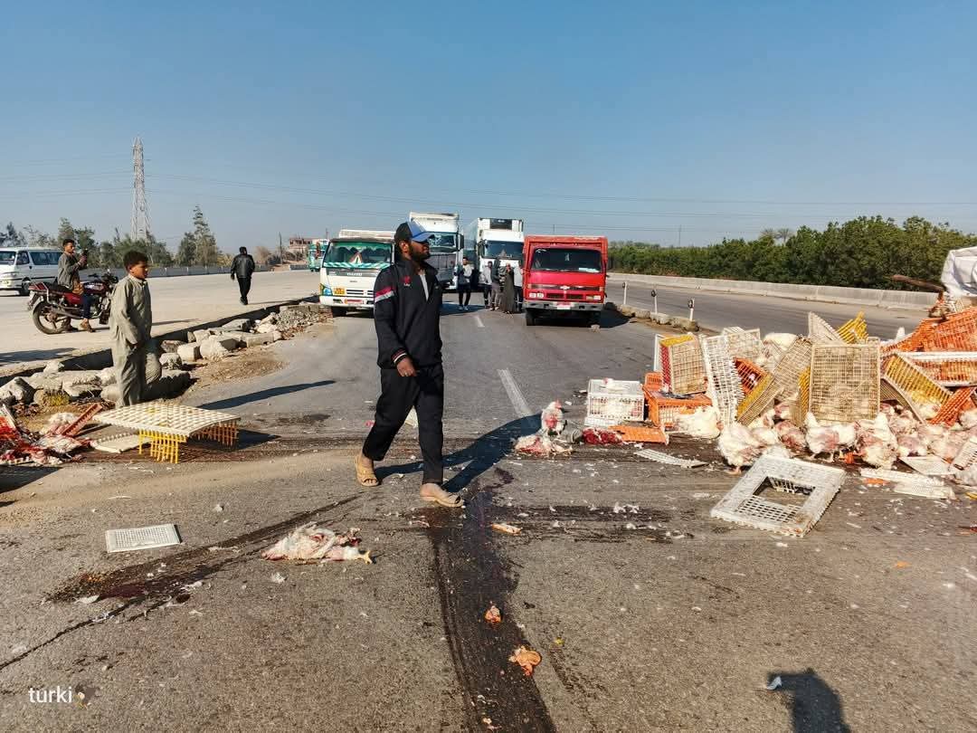 انقلاب سيارة نقل محملة بالفراخ على الطريق الإقليمي