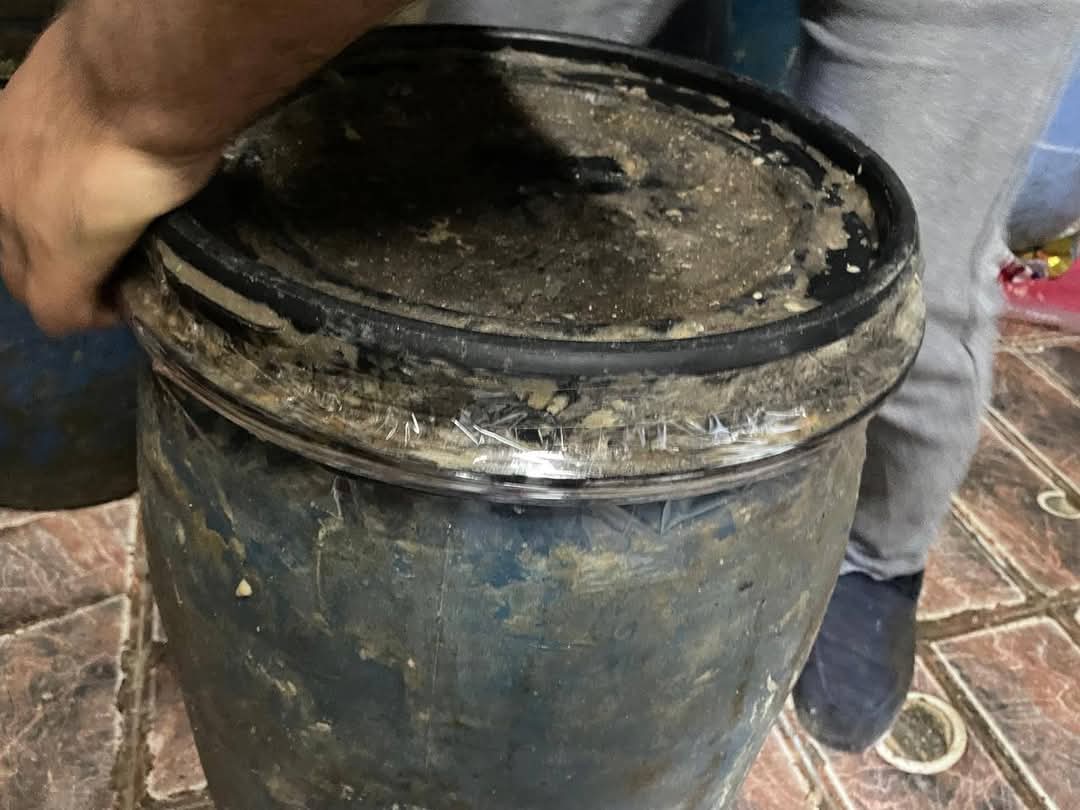 حملات صحة السويس