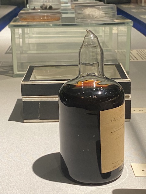 حقيقة الزئبق الاحمر بمتحف التحنيط