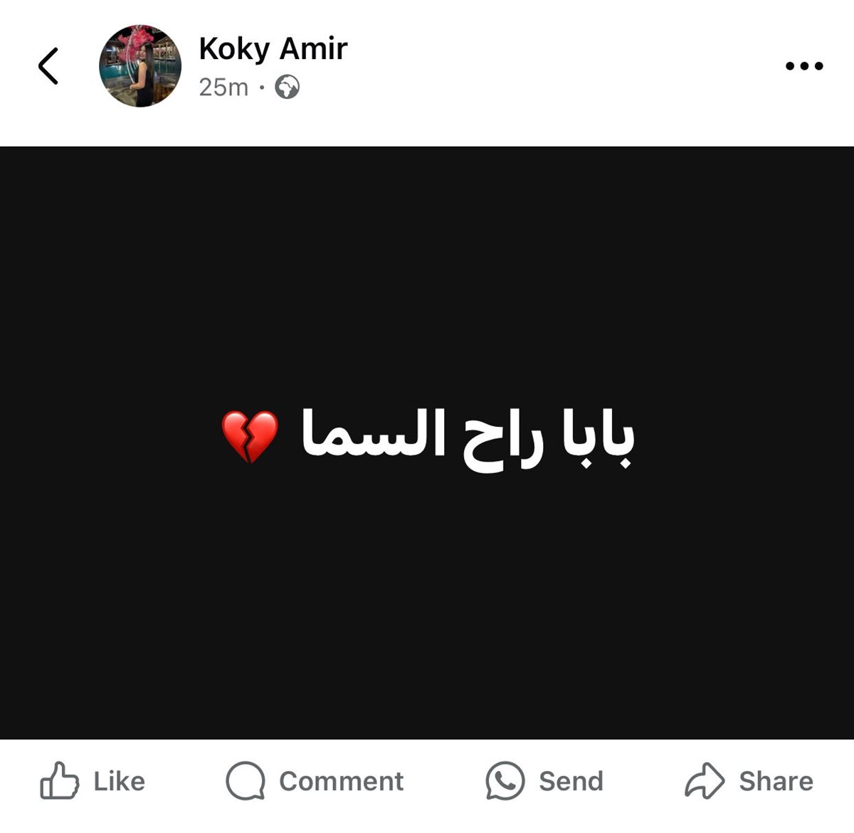 منشور أبنة أمير رشدي