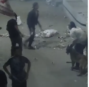 مشاجرة بولاق الدكرور