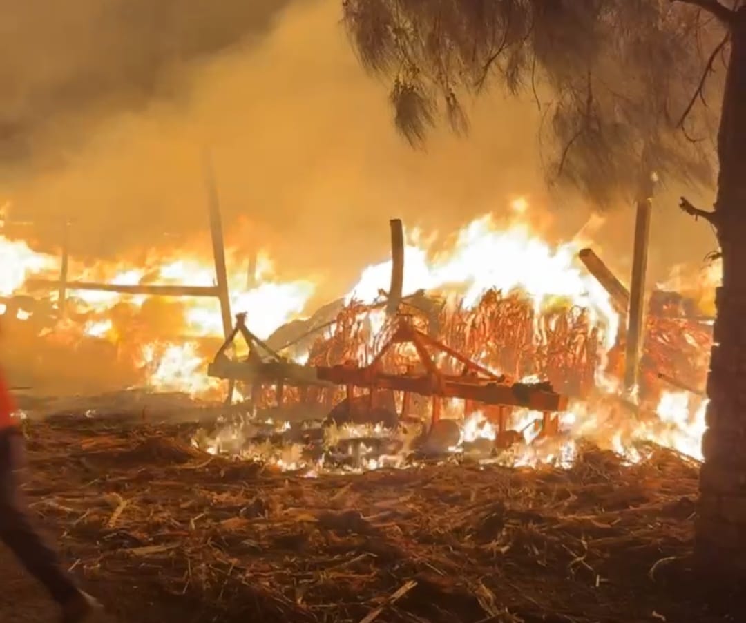 حريق في عشش وأحطاب بقرية كفر سليمان بالغربية 