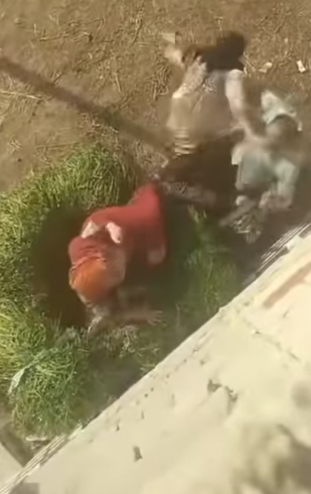 جانب من فيديو تعدي رجل علي سيدة بالدقهلية