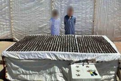 جانب من المتهمين