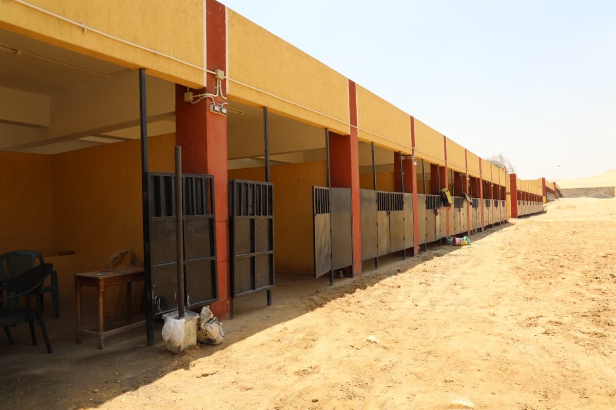 طريق أبو الهول السياحي بالهرم