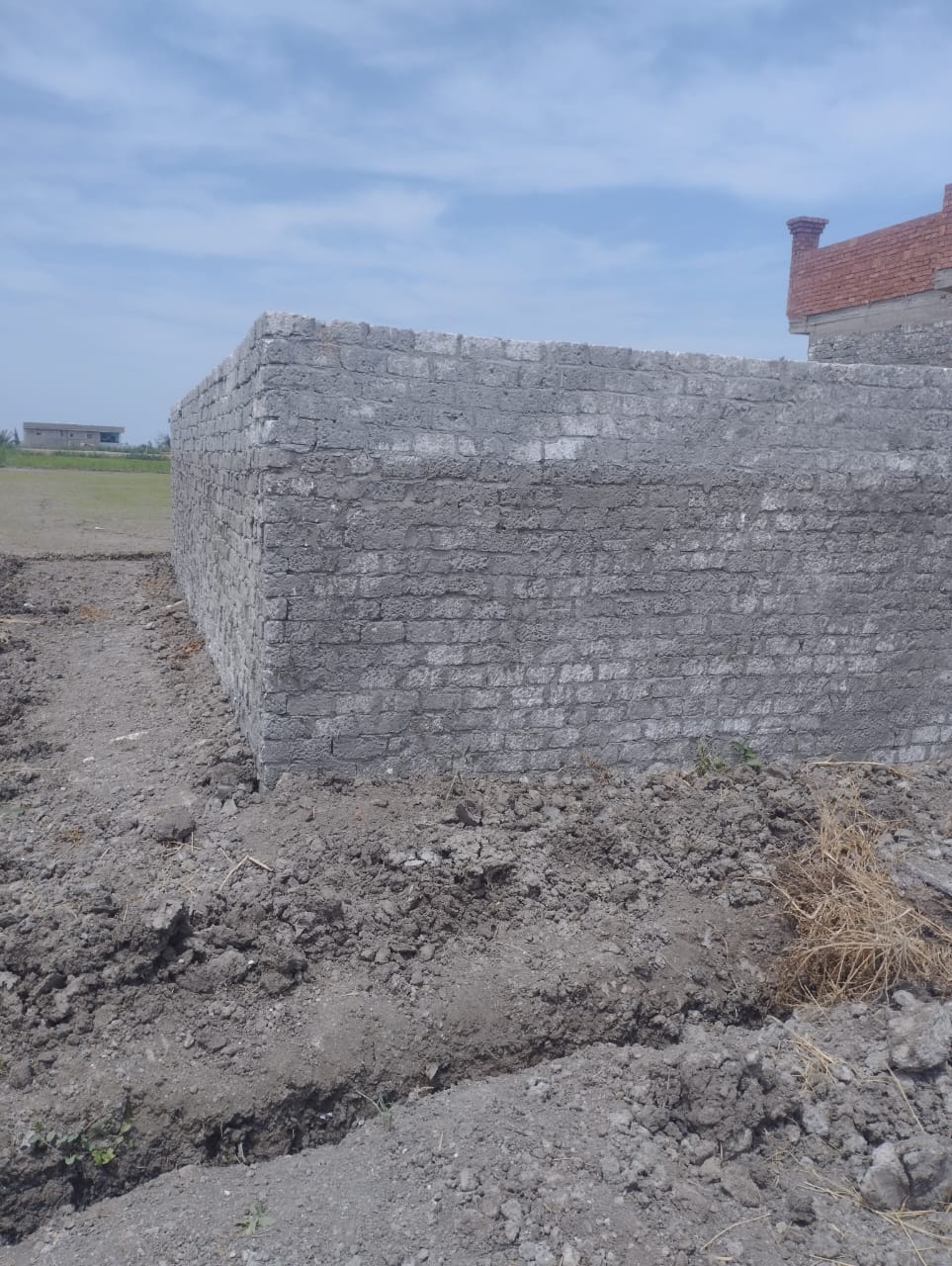 الجهود التنفيذية ببورسعيد 