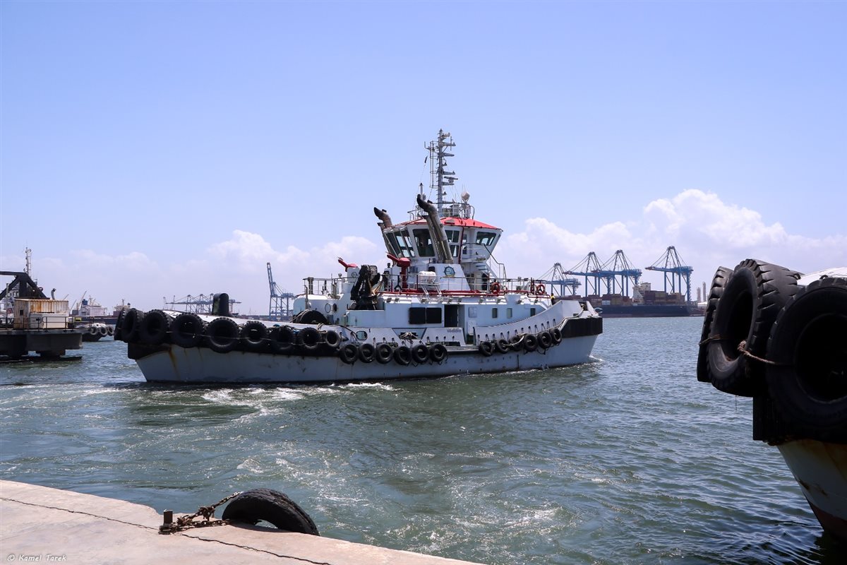 مراجعة أنشطة ميناء دمياط